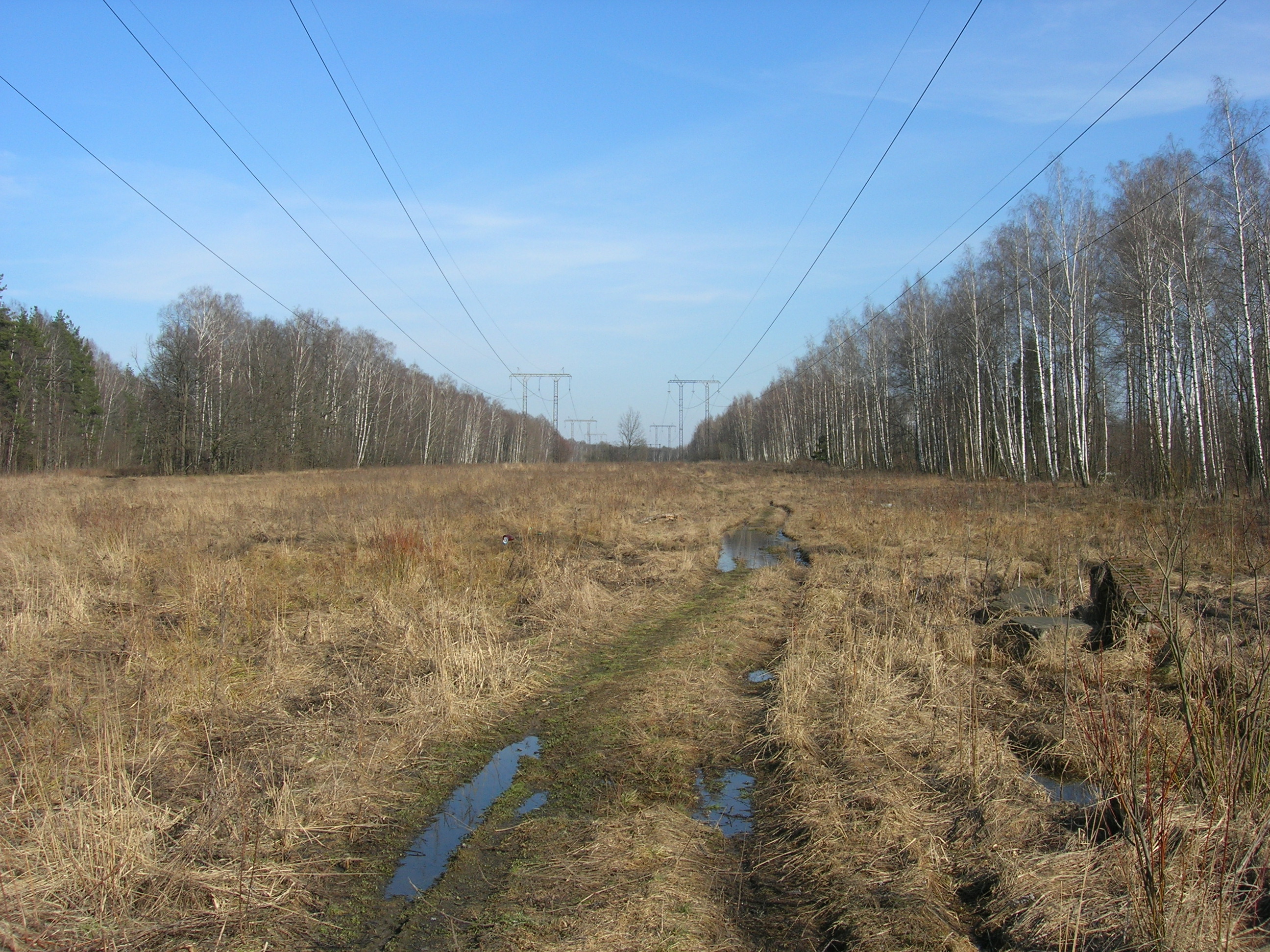 dscn5406.JPG