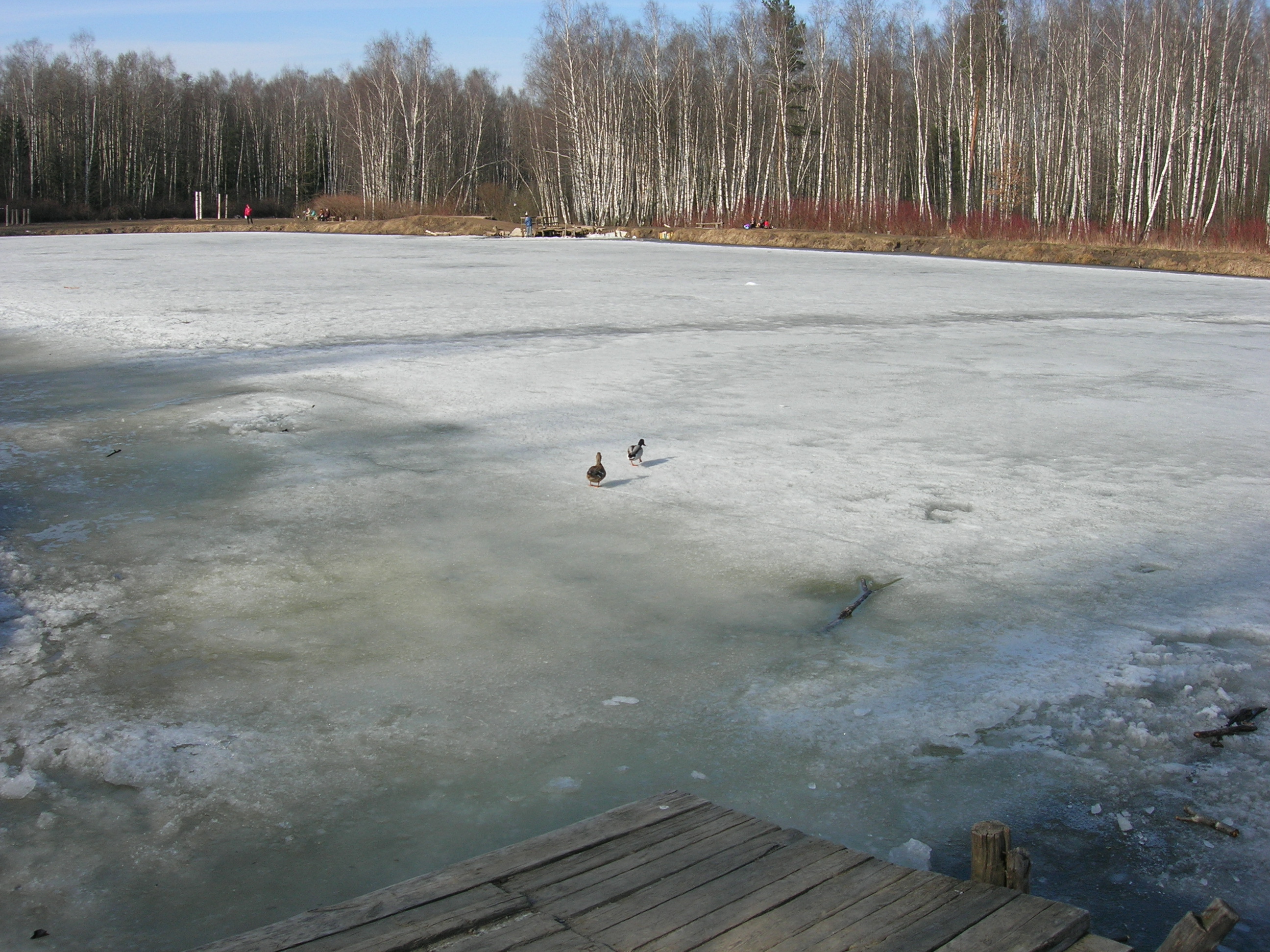dscn5408.JPG