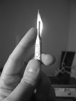 2442394485_2b4c1f5edc.jpg